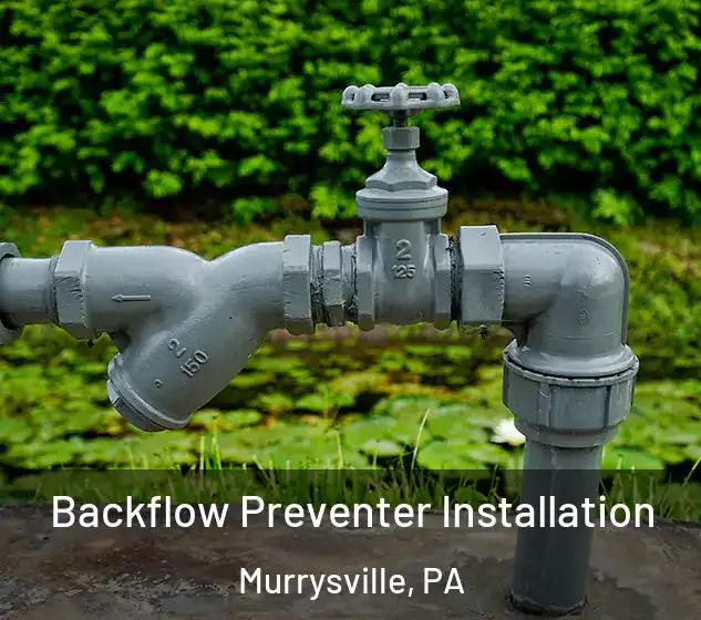  Backflow Preventer Installation Murrysville, PA