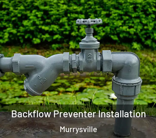 Backflow Preventer Installation Murrysville