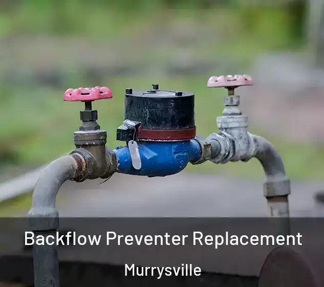  Backflow Preventer Replacement Murrysville