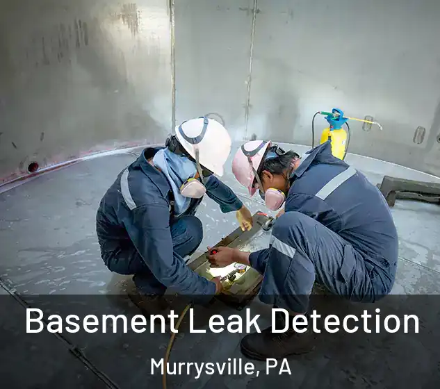  Basement Leak Detection Murrysville, PA