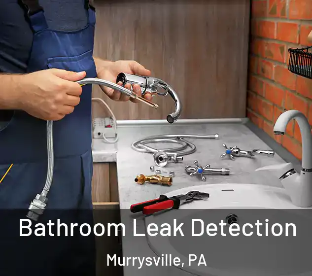  Bathroom Leak Detection Murrysville, PA