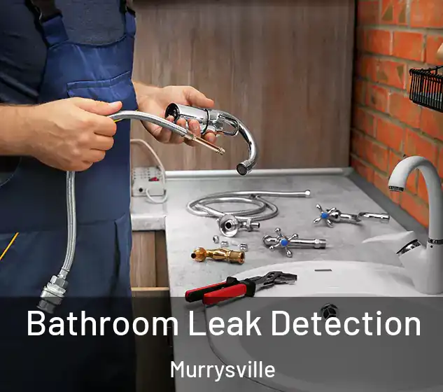 Bathroom Leak Detection Murrysville