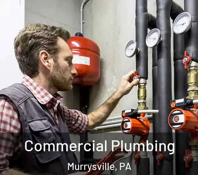  Commercial Plumbing Murrysville, PA