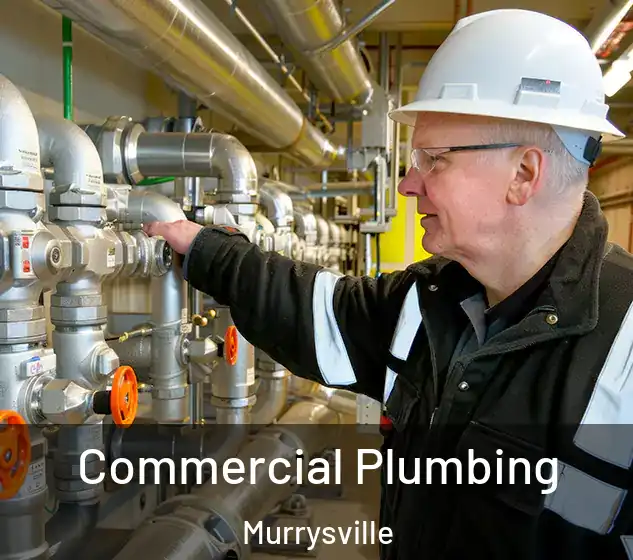  Commercial Plumbing Murrysville