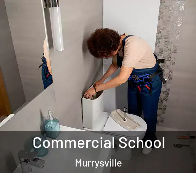 Commercial School Murrysville
