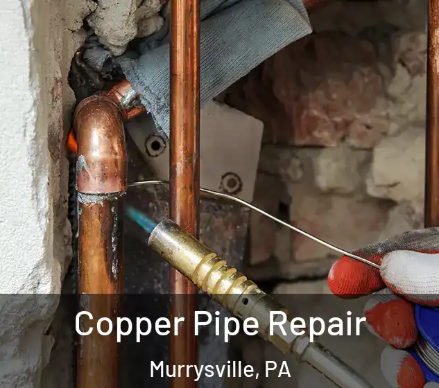  Copper Pipe Repair Murrysville, PA