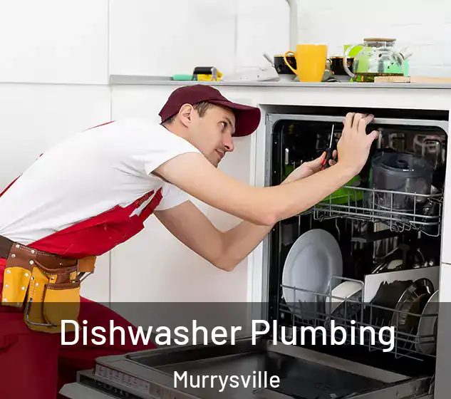  Dishwasher Plumbing Murrysville