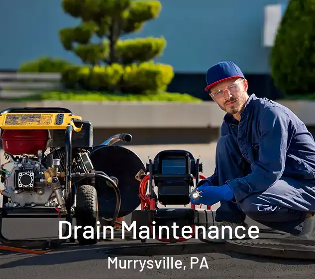  Drain Maintenance Murrysville, PA