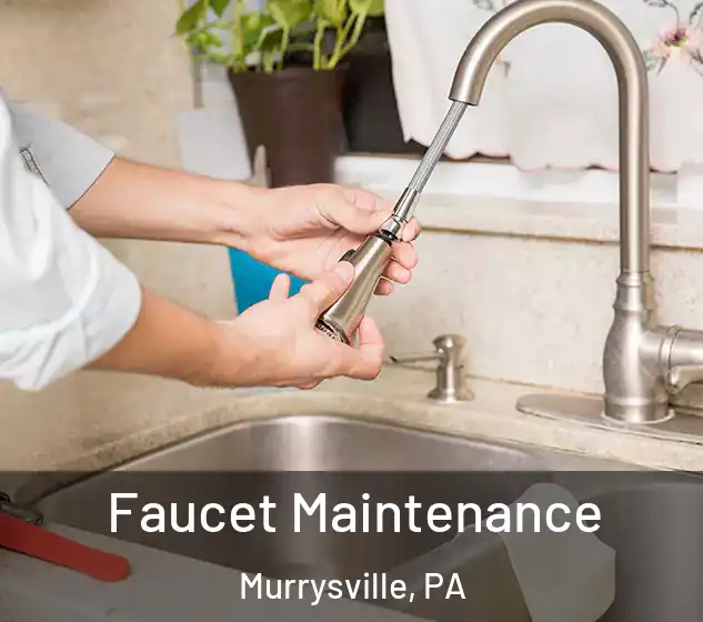 Faucet Maintenance Murrysville, PA