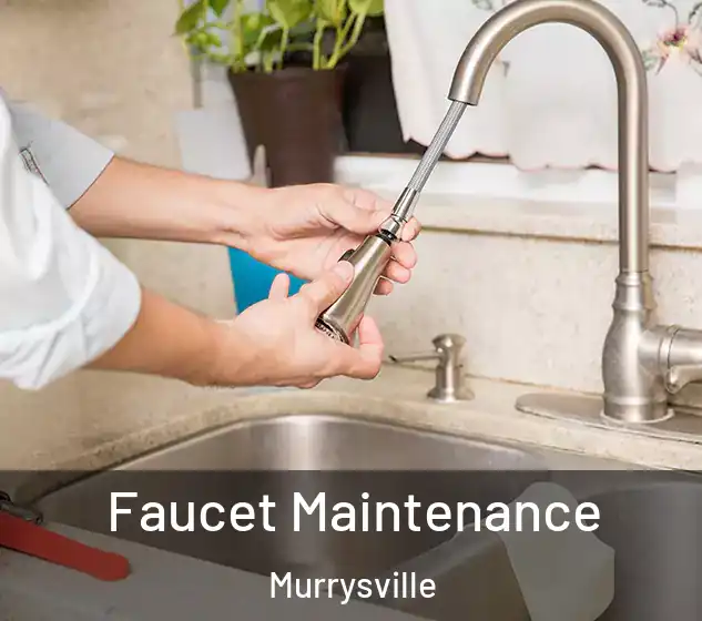  Faucet Maintenance Murrysville