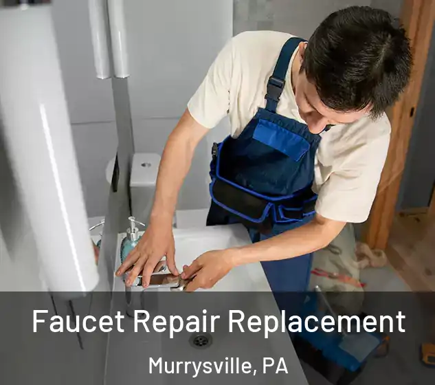  Faucet Repair Replacement Murrysville, PA