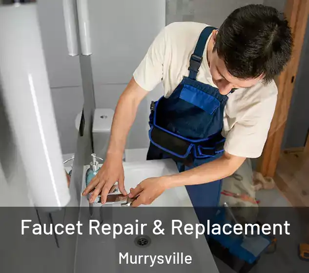  Faucet Repair & Replacement Murrysville