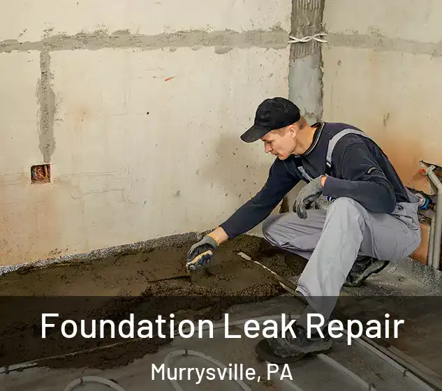  Foundation Leak Repair Murrysville, PA