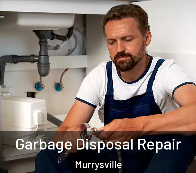  Garbage Disposal Repair Murrysville