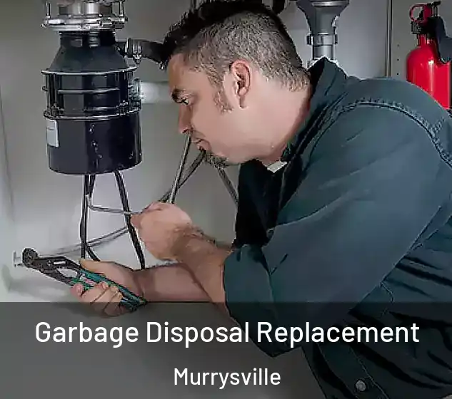  Garbage Disposal Replacement Murrysville