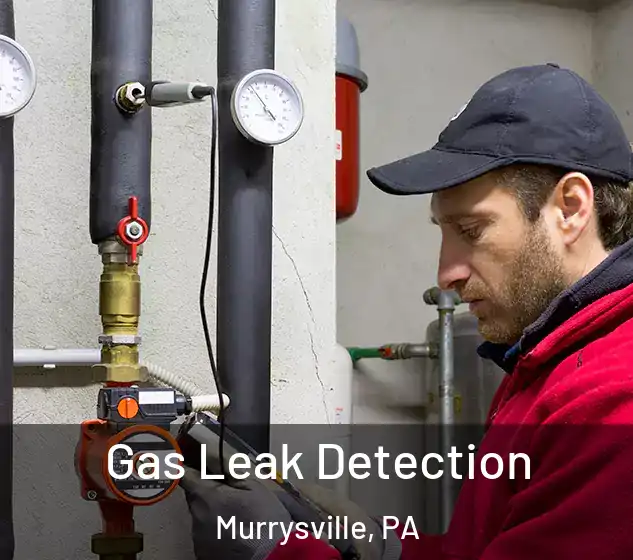  Gas Leak Detection Murrysville, PA