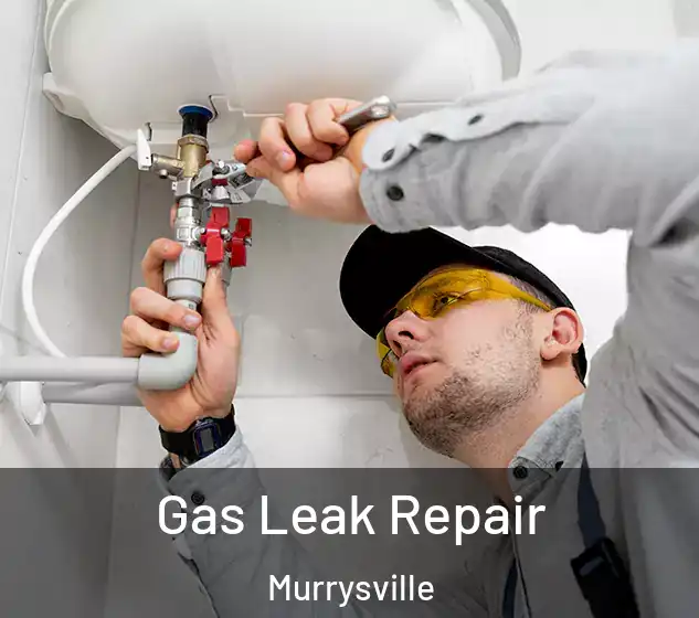  Gas Leak Repair Murrysville