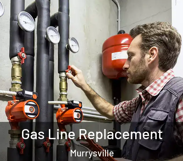  Gas Line Replacement Murrysville