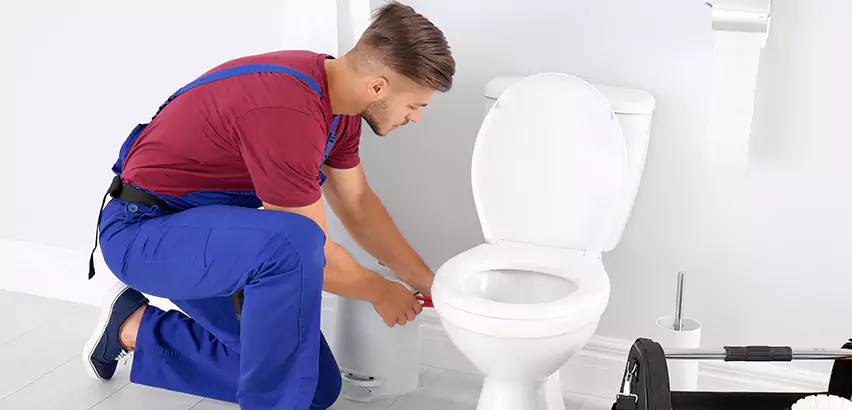 Scope of Bathroom Toilet Bowl Replacement Services in Murrysville, PA