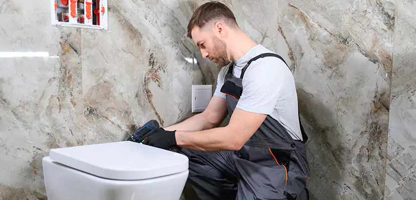 Scope of Bathroom Toilet Replacement Services in Murrysville, PA