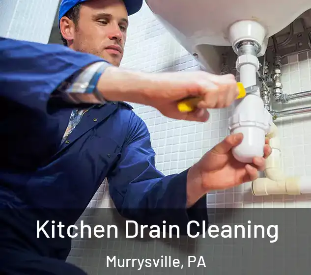  Kitchen Drain Cleaning Murrysville, PA