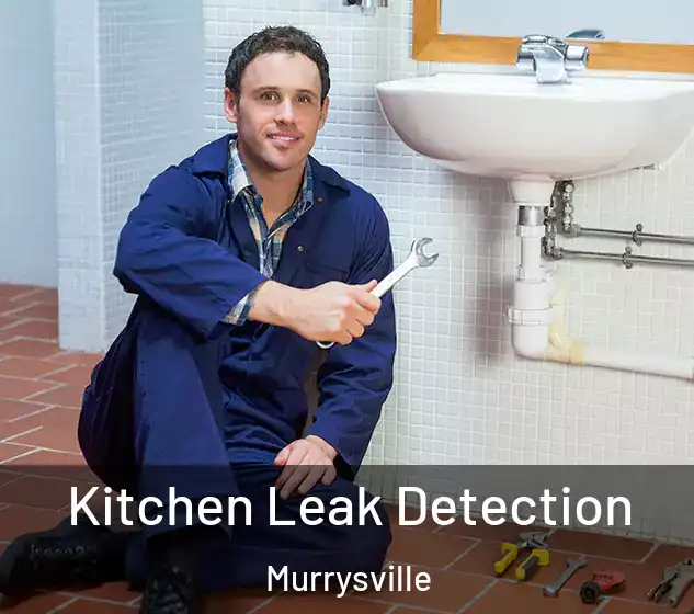  Kitchen Leak Detection Murrysville