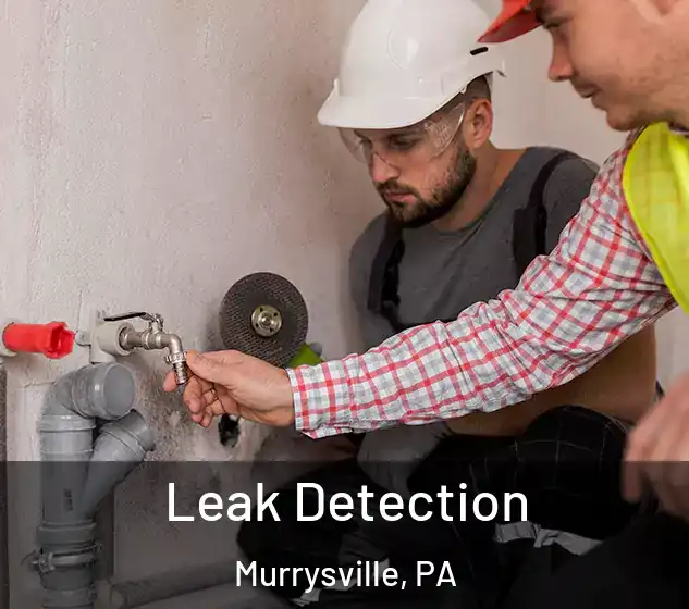  Leak Detection Murrysville, PA