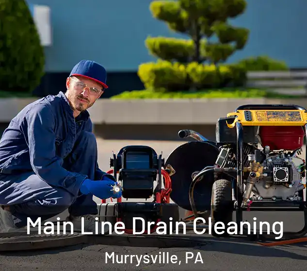  Main Line Drain Cleaning Murrysville, PA