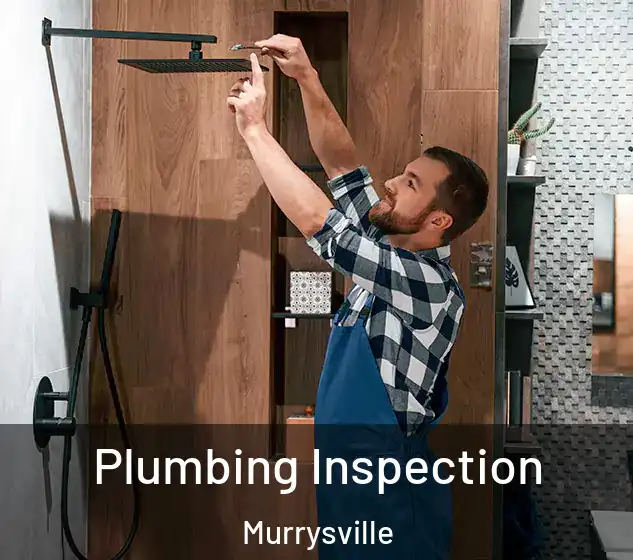  Plumbing Inspection Murrysville