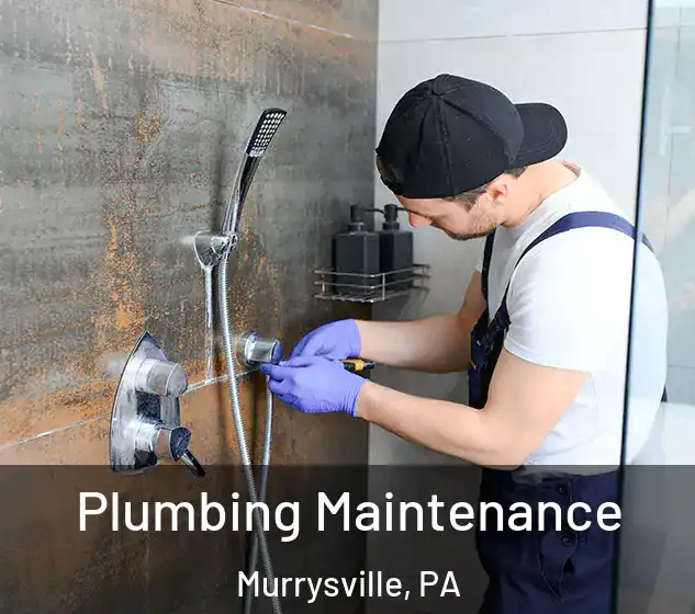  Plumbing Maintenance Murrysville, PA
