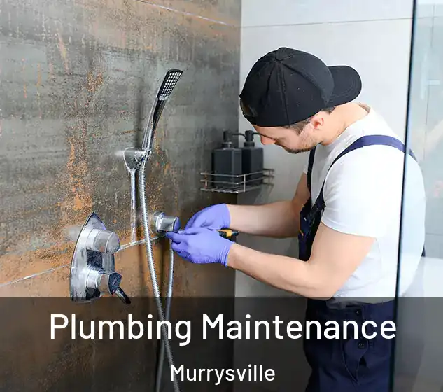  Plumbing Maintenance Murrysville
