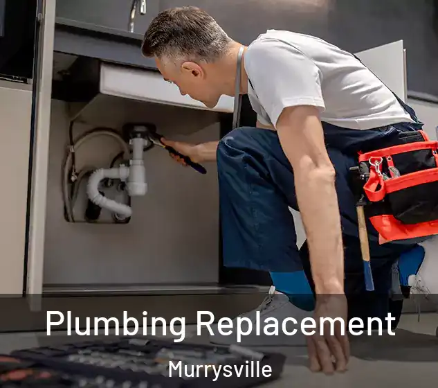  Plumbing Replacement Murrysville