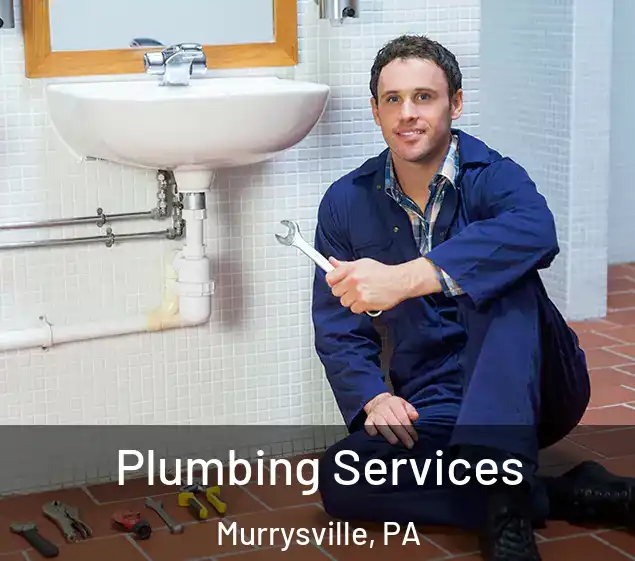  Plumbing Services Murrysville, PA