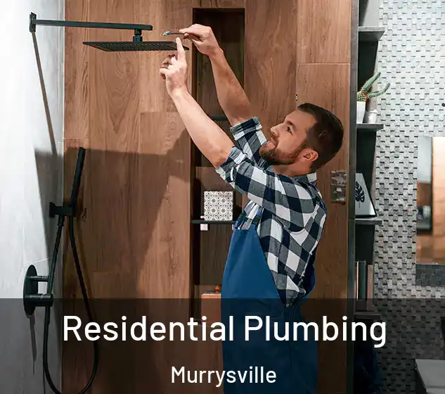  Residential Plumbing Murrysville