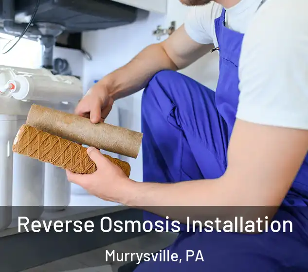  Reverse Osmosis Installation Murrysville, PA