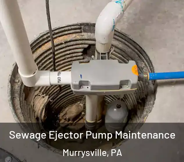  Sewage Ejector Pump Maintenance Murrysville, PA
