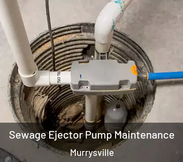  Sewage Ejector Pump Maintenance Murrysville