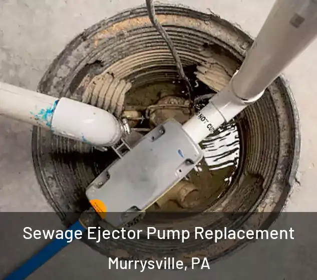  Sewage Ejector Pump Replacement Murrysville, PA