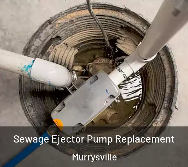  Sewage Ejector Pump Replacement Murrysville