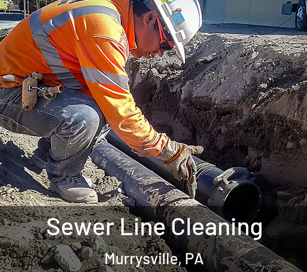  Sewer Line Cleaning Murrysville, PA