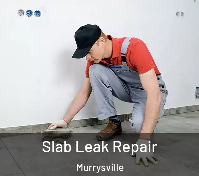  Slab Leak Repair Murrysville