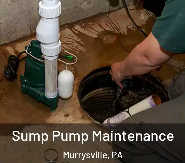  Sump Pump Maintenance Murrysville, PA