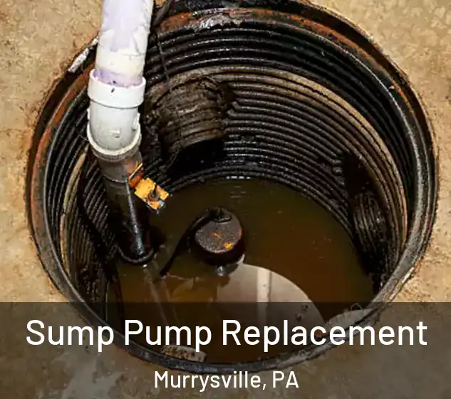  Sump Pump Replacement Murrysville, PA