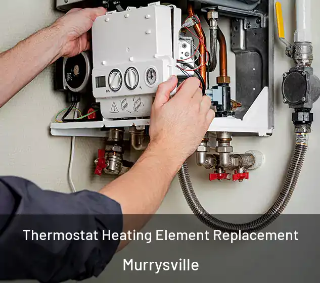  Thermostat Heating Element Replacement Murrysville