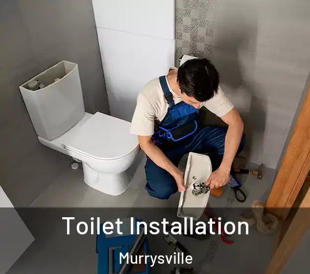  Toilet Installation Murrysville