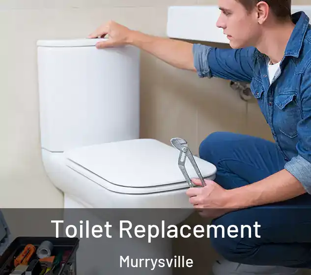  Toilet Replacement Murrysville