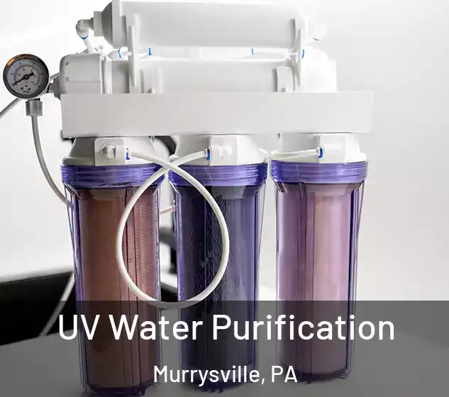  UV Water Purification Murrysville, PA