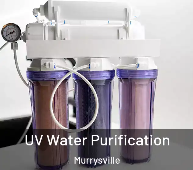  UV Water Purification Murrysville