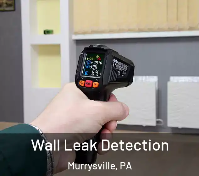  Wall Leak Detection Murrysville, PA