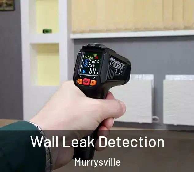  Wall Leak Detection Murrysville